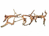 Red Moor Wood Premium Pieces Different Sizes