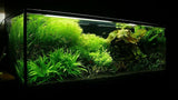 Black Sand 0,6-1,2mm