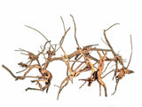 Red Moor Wood Premium Pieces Different Sizes