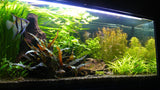 Black Sand 0,6-1,2mm