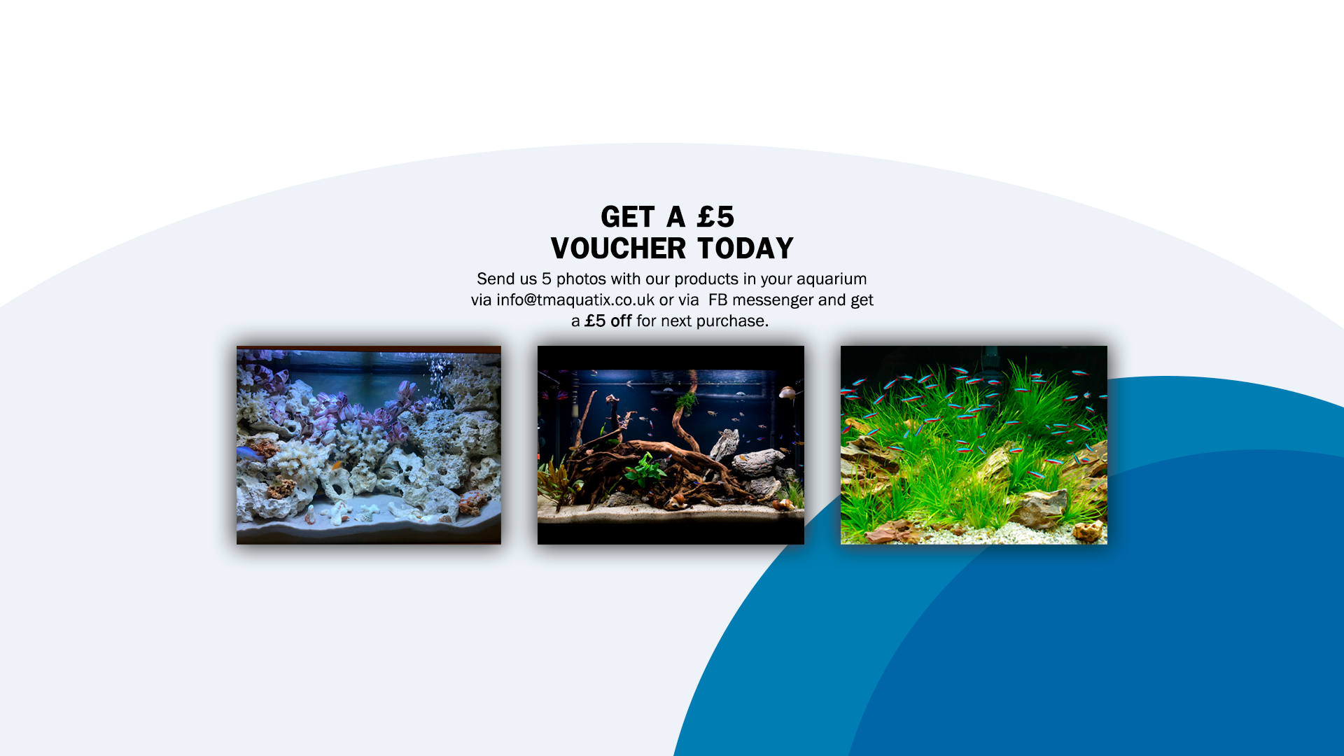 Aquatics online shop | Aquatix-store – aquatix.store