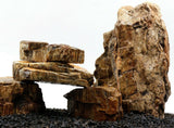 Fossilazzed Wood Rock