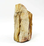 Fossilazzed Wood Rock