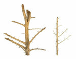 Tree Wood Set 5 pieces 20cm - 50cm